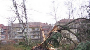 Да възстановим зелената система на Габрово заедно