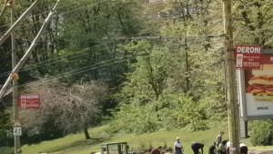 Да направим Габрово отново чисто и зелено