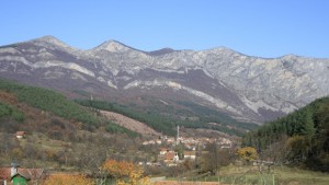 МИЕТ трябва да каже какво да се предприеме срещу фирмите