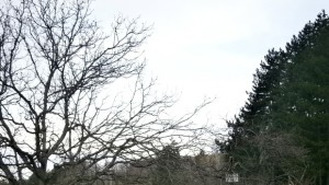 Облачно с валежи