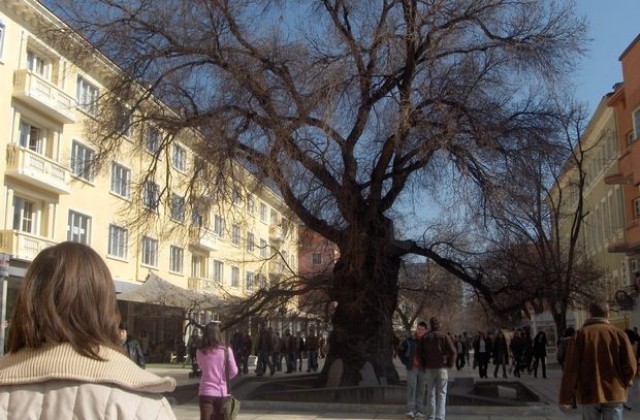 Кръгла маса за работата на ВиК дружествата