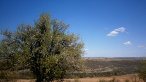 Температурите тръгват нагоре