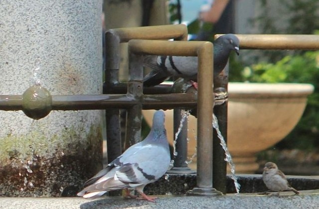 Топло с температури до 20°