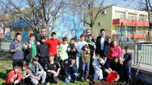 Американски дъб и атласки кедър засаждат в Димитровград