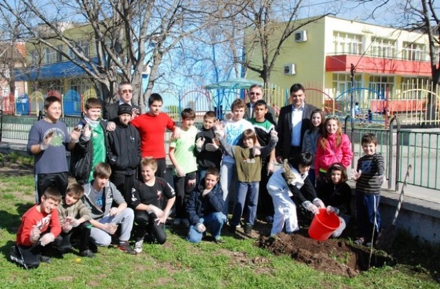 Американски дъб и атласки кедър засаждат в Димитровград