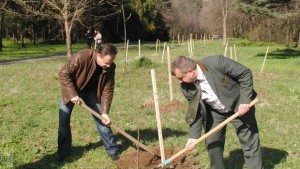Залесиха 80 фиданки на Света гора готвят проект за облагородяване