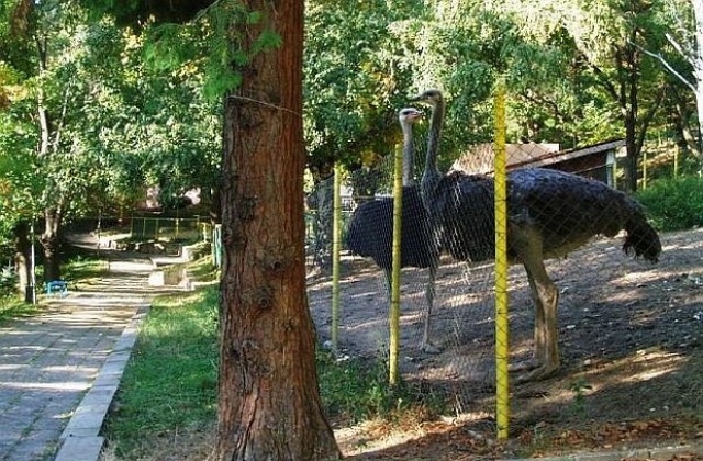 Облагородяват Зоологическата градина в Благоевград
