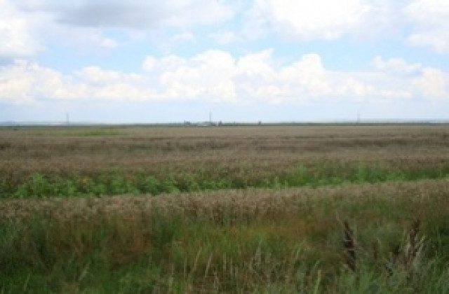 Предсеитбената подготовка закъснява