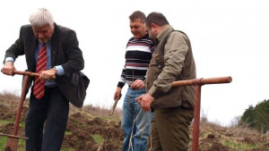 За Седмицата на гората утре засаждат фиданки край Побит камък