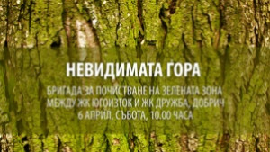 Ще почистват горичката до храм Св Климент Охридски