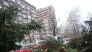 Предупреждават за силен вятър