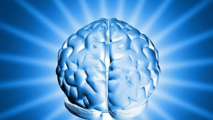 САЩ стартират нова програма за изследване на мозъка
