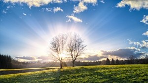 Сънищата вече могат да се прочетат