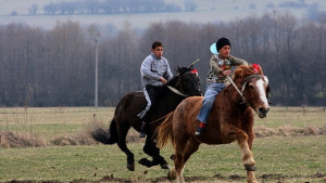 Конно състезание в Дунавци