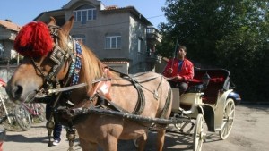 Общината даде 1 600 лева на ромите за празника им