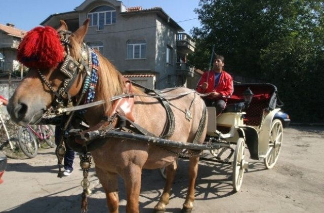 Общината даде 1 600 лева на ромите за празника им