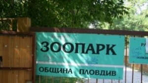 Пловдив с модерна зоологическа градина със стъклен тунелаквариум