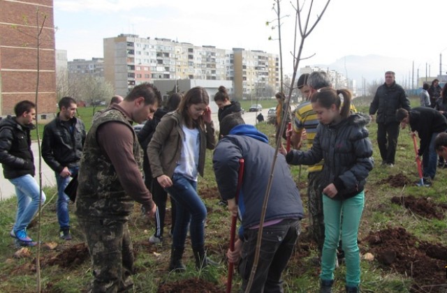 Малка гора израсна край жкДъбника