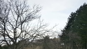 Граждани сигнализираха за 3 нерегламентирани сметища