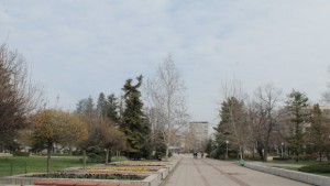 Търговище ще бъде домакин на държавния шампионат по бокс