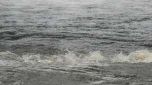 Забрана за любителски риболов