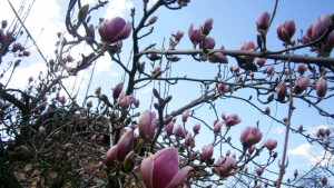 Ясно и тихо