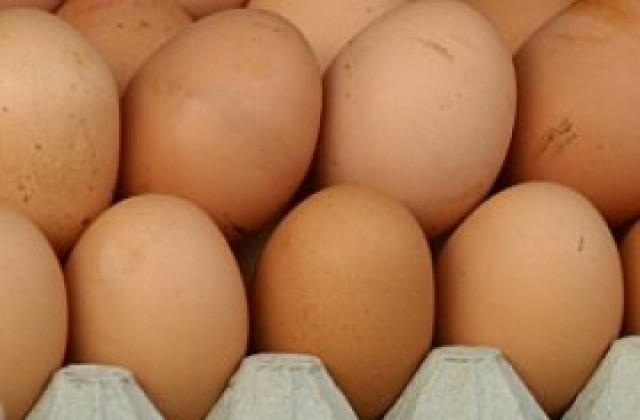 Възобновява се износът на яйца и млечни продукти за Турция