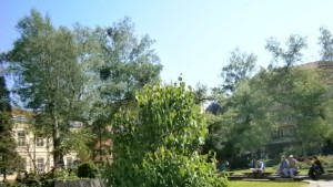 120 кубика боклук до сега в кампанията за пролетно почистване