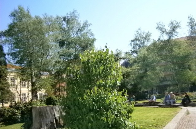 120 кубика боклук до сега в кампанията за пролетно почистване