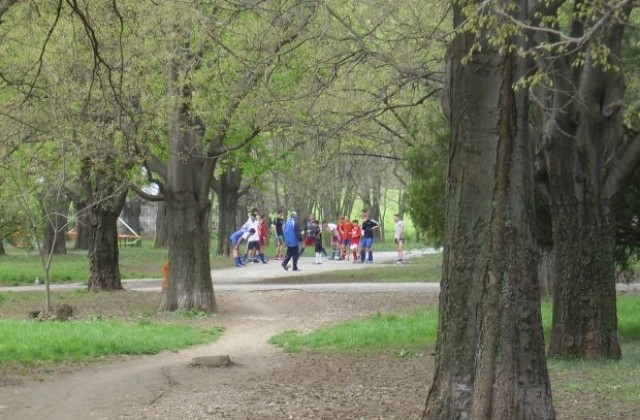 Анкета определя приоритетите в спорта