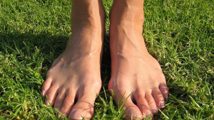 Какво да правим ако ни нападне кърлеж