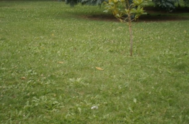 Започват обработките срещу кърлежи и гризачи