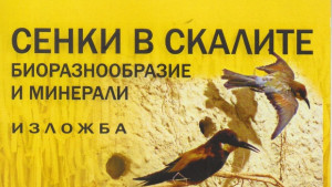 Изложба на русенския музей гостува в Бургас