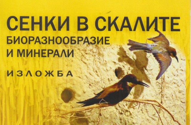 Изложба на русенския музей гостува в Бургас