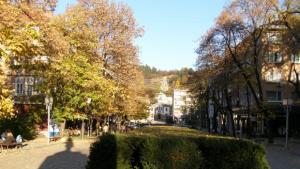 Продължава набирането на потребители за услугите на социални асистенти