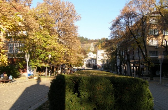 Продължава набирането на потребители за услугите на социални асистенти