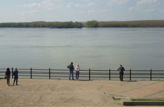 Изчезват есетровите риби в Дунав