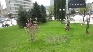 В Г Оряховица подготвят зелените площи за пръскане срещу кърлежи