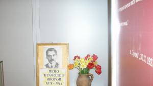 Яворови дни в Стралджа