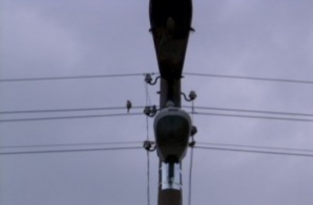 Спипаха крадец на ел. проводници в Свищов