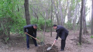 2000 нови дървета и 1 милион цветя разкрасяват Пловдив