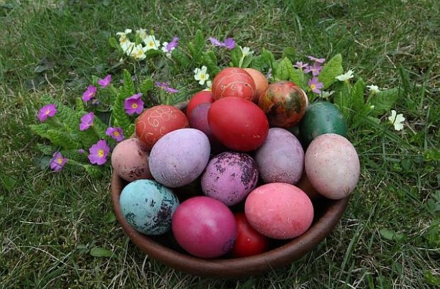 Не се очаква скок в цената на яйцата в навечерието на Великден