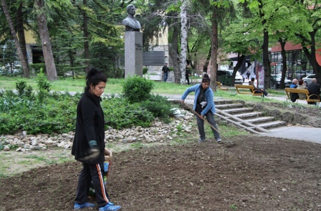 Общината предоставя семена райграс за междублоковите пространства