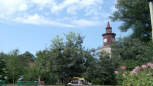 И Свищов се включва в масовото пролетно чистене