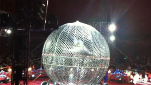 Каскадьори в цирк Балкански пострадаха при инцидент в Глобуса на