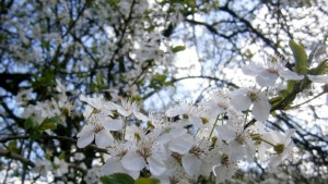 Идва 30 градуса жега от Африка