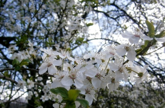 Идва 30 градуса жега от Африка