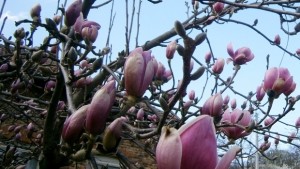 Работилничка за рециклиране в Деня на Земята