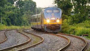 Канадският филиал развъдник на доброволци за ислямистката кауза