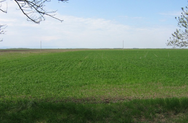 Повече европейски средства за земеделие и изплащане на субсидиите в срок, гарантират от ГЕРБ